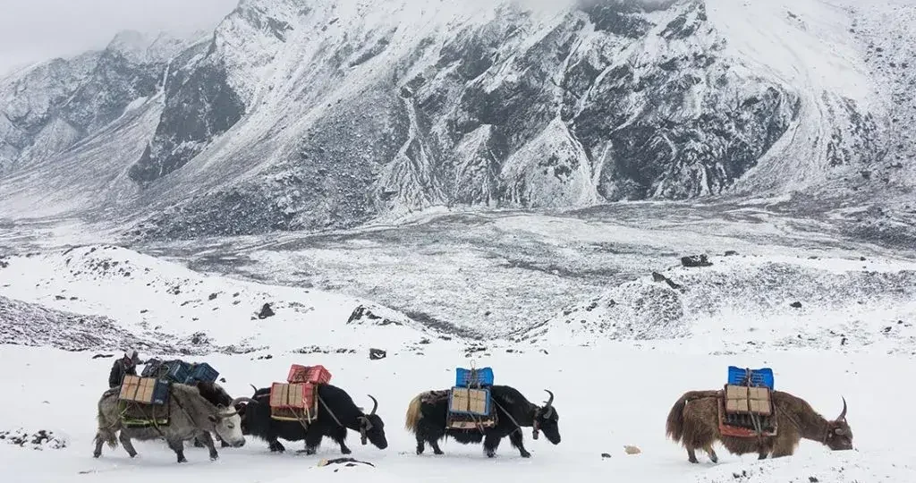 Everest Base Camp Trek